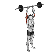 Animación de barbell standing overhead triceps extension