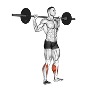Animación de barbell standing rocking leg calf raise