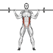 Animación de barbell standing twist