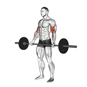 Animación de barbell standing wide-grip curl