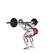 Animación de barbell stiff leg good morning