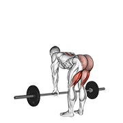 Animación de barbell straight leg deadlift
