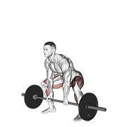 Animación de barbell sumo deadlift