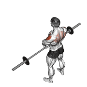 Animación de barbell upright row v. 2