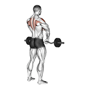 Animación de barbell upright row