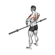 Animación de barbell upright row v. 3