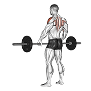 Animación de barbell wide-grip upright row