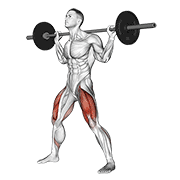 Animación de barbell wide squat