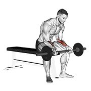 Animación de barbell wrist curl v. 2