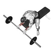 Animación de barbell wrist curl