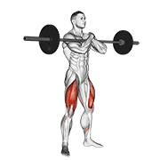 Animación de barbell zercher squat