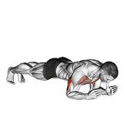 Animación de body-up