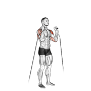 Animación de cable alternate shoulder press
