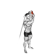 Animación de cable alternate triceps extension