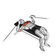 Animación de cable bench press