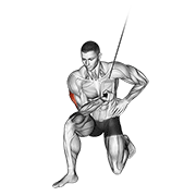 Animación de cable concentration extension (on knee)