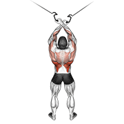 Animación de cable cross-over lateral pulldown