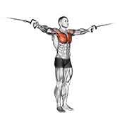 Animación de cable cross-over variation