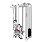 Animación de cable deadlift