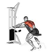 Animación de cable decline seated wide-grip row
