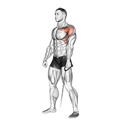 Animación de cable forward raise