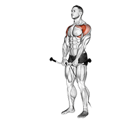 Animación de cable front raise