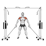 Animación de cable front shoulder raise