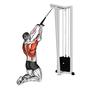Animación de cable high row (kneeling)