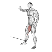 Animación de cable hip adduction