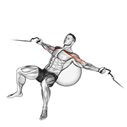 Animación de cable incline fly (on stability ball)