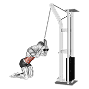 Animación de cable kneeling crunch
