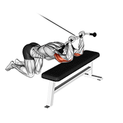 Animación de cable kneeling triceps extension