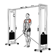Animación de cable lateral raise