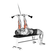 Animación de cable lying close-grip curl