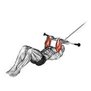 Animación de cable lying triceps extension v. 2