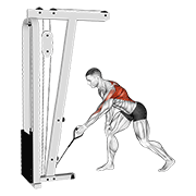 Animación de cable one arm bent over row