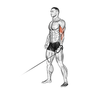 Animación de cable one arm curl