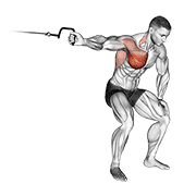 Animación de cable one arm lateral bent-over
