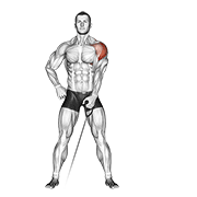 Animación de cable one arm lateral raise