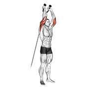 Animación de cable overhead triceps extension (rope attachment)