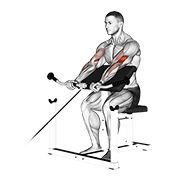 Animación de cable preacher curl