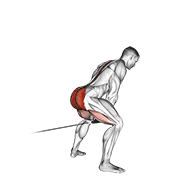 Animación de cable pull through (with rope)