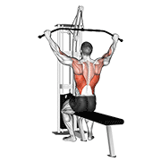 Animación de cable pulldown (pro lat bar)