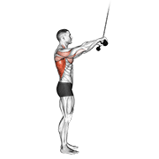 Animación de cable pushdown (straight arm) v. 2