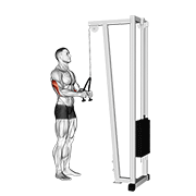 Animación de cable pushdown (with rope attachment)