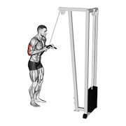 Animación de cable pushdown