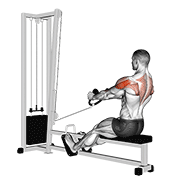 Animación de cable rear delt row (stirrups)