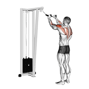 Animación de cable rear delt row (with rope)