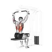 Animación de cable rear pulldown