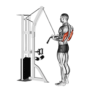Animación de cable reverse-grip pushdown
